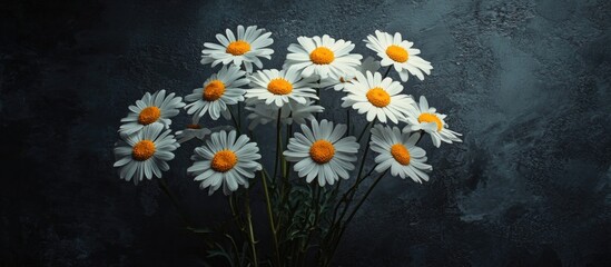 Poster - Bunch of white daisies with yellow centers arranged in a vase against a dark textured background with ample copy space