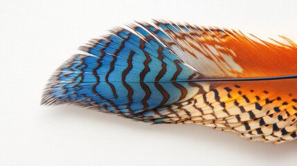 Aufkleber - Colorful bird feather with intricate patterns featuring blue, orange, and black stripes on a white background with Copy Space.
