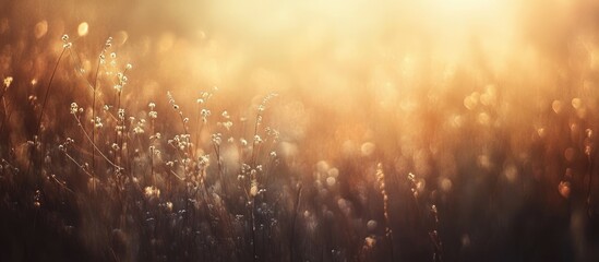 Sticker - Sunlit Grass with Dew Droplets and Bokeh Effect at Dawn