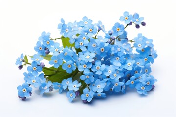 Wall Mural - Spring blue flowers blossom plant lilac.