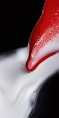 Poster - Fluid dynamics abstract red and white splash art dark background digital artwork close-up symbolism