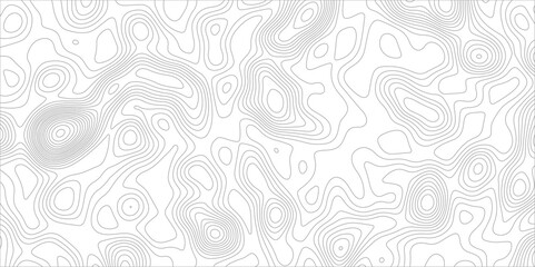 Poster - Abstract background with topographic map white background. The stylized height of the topographic map contour in black lines. gradient multicolor wave curve lines banner background design.