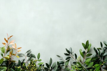 Canvas Print - maple leaves and olive branches leaf background natural.