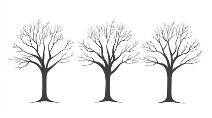 Three bare winter trees, white background, nature design, website graphics