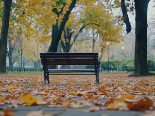 Canvas Print - Park Bench in Leafy Field