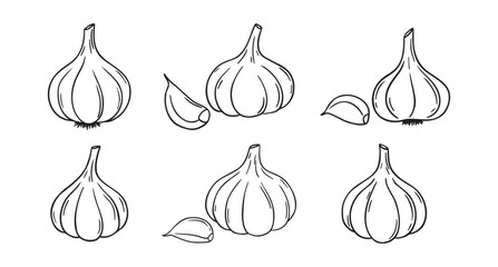 Wall Mural - garlic doodle hand drawn icon set. Outline drawing garlic line clipart symbol collection