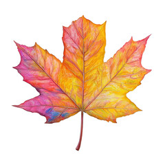 Poster - A detailed artistic illustration of a single maple leaf showcasing vibrant autumnal colors against a black background.
