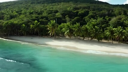 Aufkleber - Tropical sandy beach with ocean and palm tree views