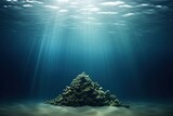 Underwater outdoors nature tranquility.
