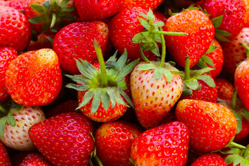 Wall Mural - Fresh strawberry on white background