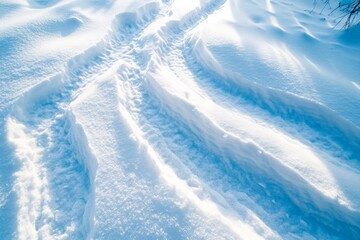 Poster - Snow-covered path with distinct tire tracks in a serene winter landscape during daylight