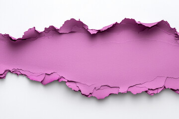 Poster - An overhead shot highlighting a roughly torn strip of purple paper revealing a clean white layer underneath, creating a textured edge effect,