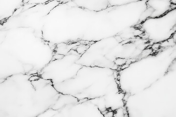 Poster - Elegant White Marble Texture with Black Veins for Design Use