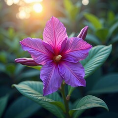 Wall Mural - A delicate pink flower, its petals softly unfolding, as the sun's warm rays dance upon its gentle curves