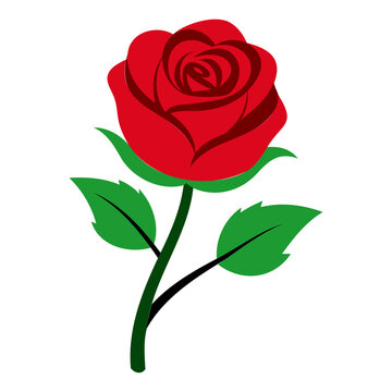 Beautiful Rose Vector for Valentine’s Day – Isolated Transparent Background