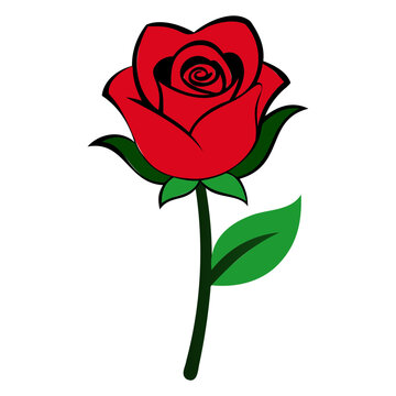 Rose Flower for Valentine's Day vector illustration isolated on a transparent background
