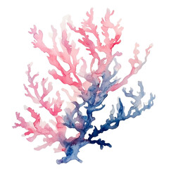 Aufkleber - A vibrant watercolor painting depicts a pink and blue coral branch against a black background.