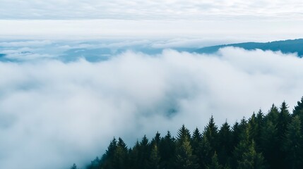 Poster - Mystical Clouds Shrouding Peaceful Mountain Pines in Misty Atmosphere : Generative AI