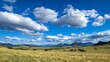 © Generative AI - Vast Open Grassland Under a Vibrant Blue Sky with Puffy White Clouds : Generative AI