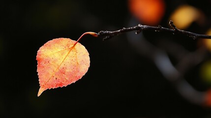 Aufkleber - Solitary Yellow Leaf On The End Of Bare Branch In Autumn : Generative AI