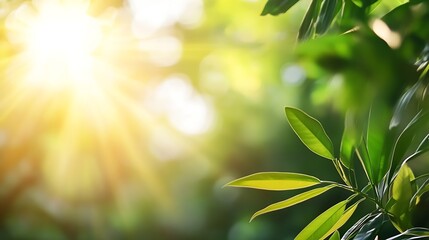 Aufkleber - Sunlight Filtering Through Green Leaves in Fresh Forest Atmosphere : Generative AI