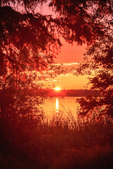 Wall Mural - a sunset over a lake with trees in the background