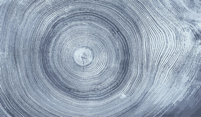 Wall Mural - Blue gray white stamp impression of end grain of wood slab. Tree rings ripples art with texture and cracked surface.