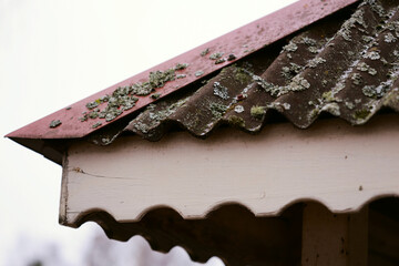 Aufkleber - Close-up of a roof covered in moss, great for architecture or nature photoshoots.