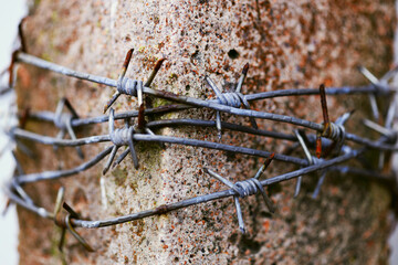 Poster - A close-up view of a rusty barbed wire fence with sharp edges and twisted metal.