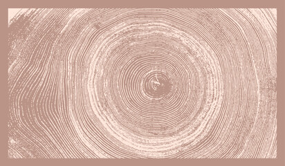Monotone pink and mocha botanical tree rings of end grain of wood slab. Growth rings art with texture and cracked surface.