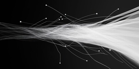 Poster - a black and white image of a white line with many small dots. the image is abstract and has a sense 