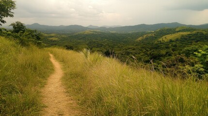 Aufkleber - Grassy Path Leading to Scenic Mountain View