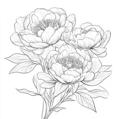 Sticker - A beautiful monochrome bouquet of peonies, drawn with hand-drawn contour lines, set against a background