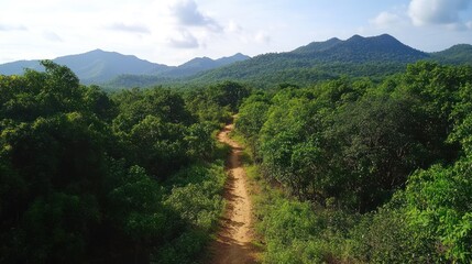 Aufkleber - Lush Green Forest Trail Leading to Distant Mountains