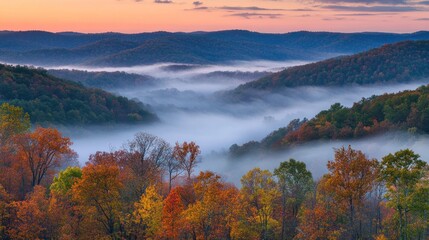 Poster - Autumnal mountain range shrouded in morning mist