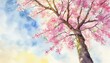 © Bambi and Sunny - 桜の木のイラスト