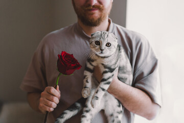 A man stands indoors, gently cradling a gray cat in one arm while holding a single red rose in the other. Romantic gesture. Happy Valentine's Day.