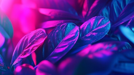 Poster - Vibrant Ultraviolet Gradient on Deep Indigo Leaves in Abstract Light