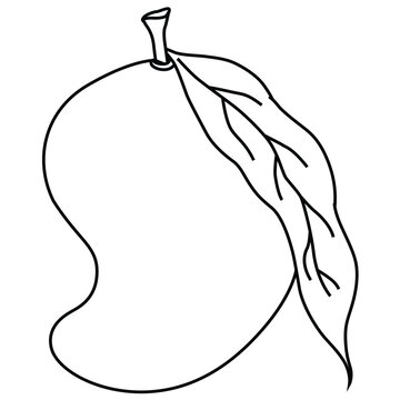 Cute cartoon hand drawn vector mango coloring page..