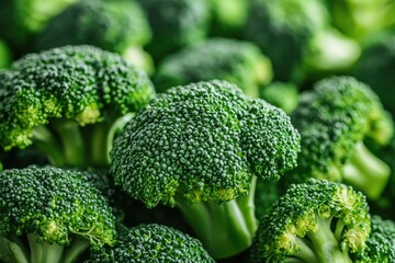 Wall Mural - Fresh green broccoli heads forming a healthy background