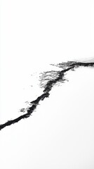 Poster - Abstract Black Crack on White Background Artistic Minimalist Design
