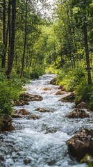  Serene Mountain Stream Flowing Through Lush Green Forest Landscape