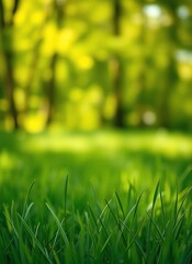 Wall Mural - an image of a green field with grass and trees in the background, a close up of a green grass field with trees in the background