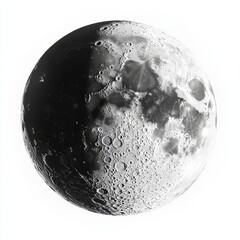 Wall Mural - Half-moon, space, craters, white background, astronomy, educational