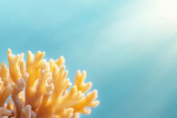 Poster - captivating close-up photo capturing magical underwater world filled with vibrant marine life and st