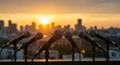 © purrfiction - Microphones lined up against a sunset skyline, preparing for an evening event