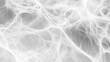 © PixelMinds - Meticulous Spider Web Decor Close-Up