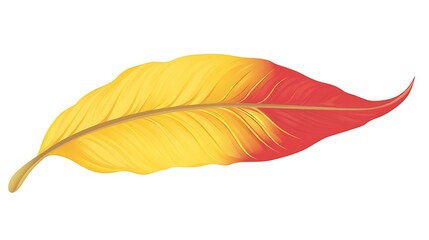 Poster - Colorful feather illustration