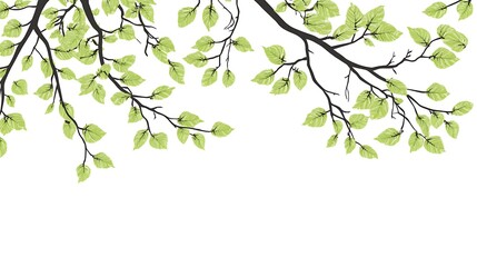 Aufkleber - Spring Branches Against White Background