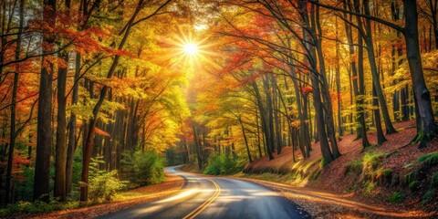 Poster - A winding road through a forest of autumn leaves, with sunlight shining through the trees creating a dramatic and colorful scene